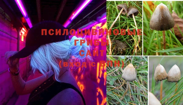 MDMA Premium VHQ Арсеньев