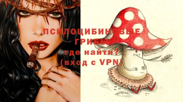 винт Армянск
