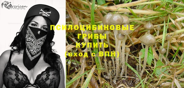 винт Армянск